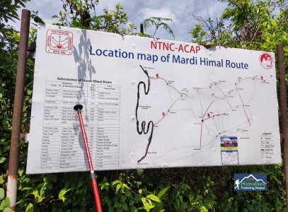 Mardi Himal Trek Difficulty: Fitness, Altitude & Trails