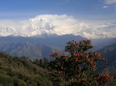 Best Short Treks in Annapurna Region | 2–7 Days
