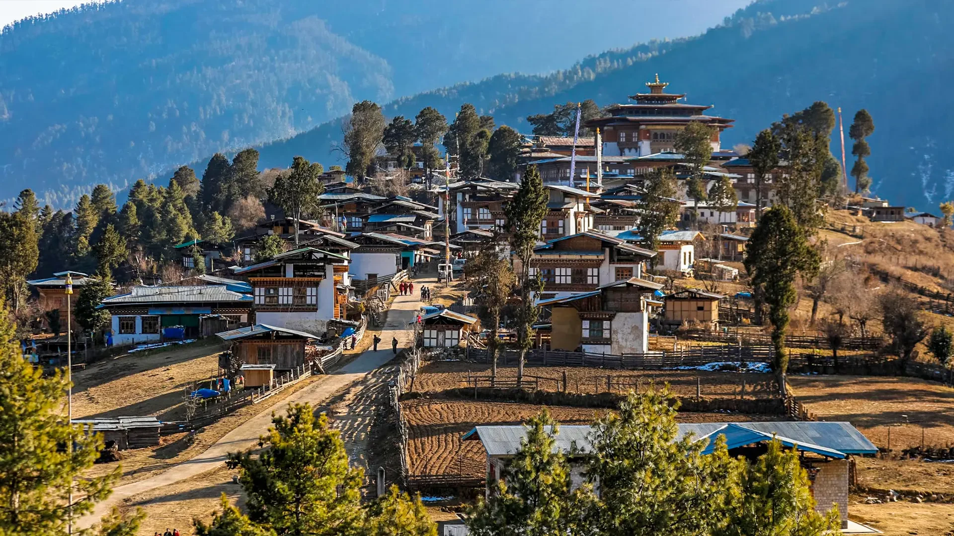 Bumthang Owl Trek