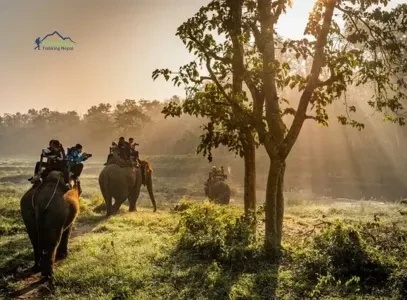 Chitwan Safari 3 Nights 4 Days