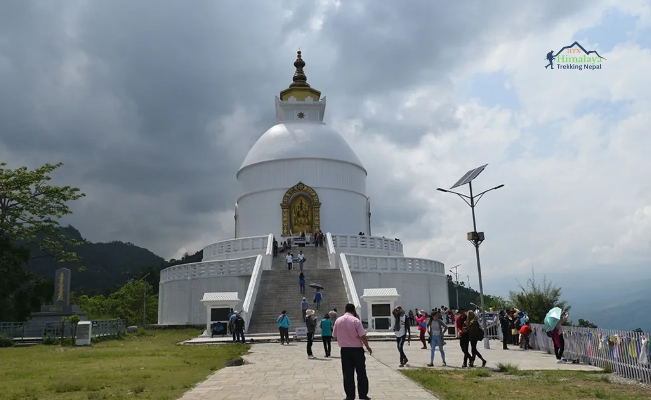 Overview Image